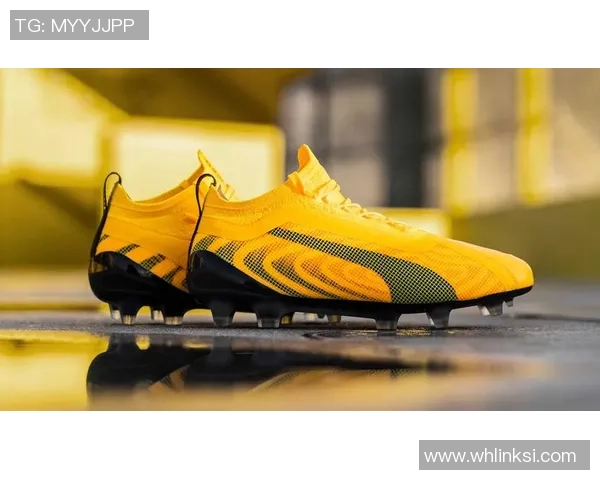 彪马球星风采:足坛璀璨之星 彪马球星风采:足坛璀璨之星