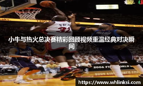 小牛与热火总决赛精彩回顾视频重温经典对决瞬间